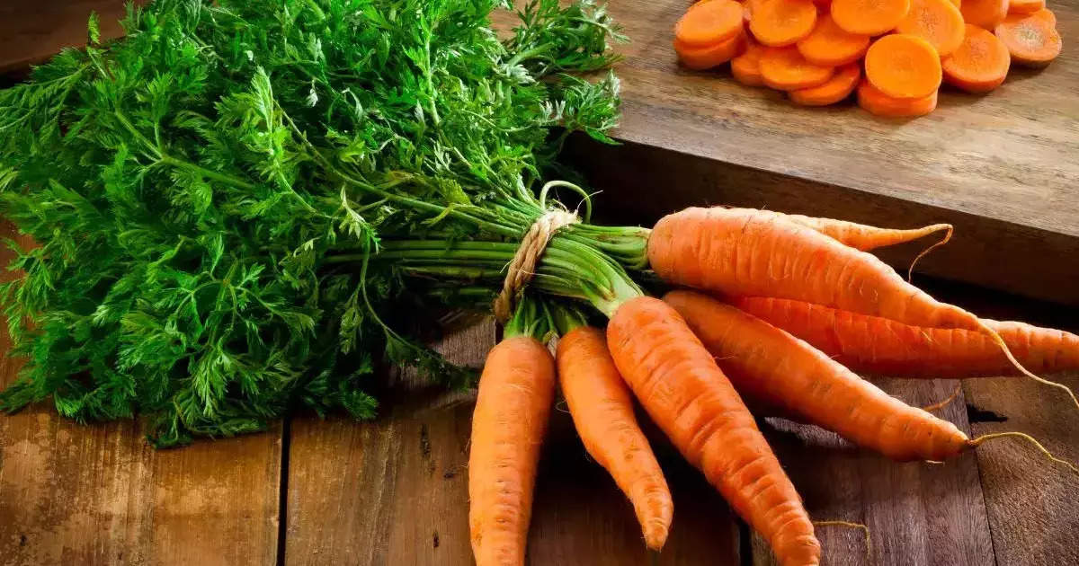 US carrot bacteria E. coli Organic carrots have become deadly in America Vegetables removed from stores across the country E. coli outbreak spreads to 18 states – We recall carrots from the supermarket after E. coli outbreak at Grimmway Farms in 18 states