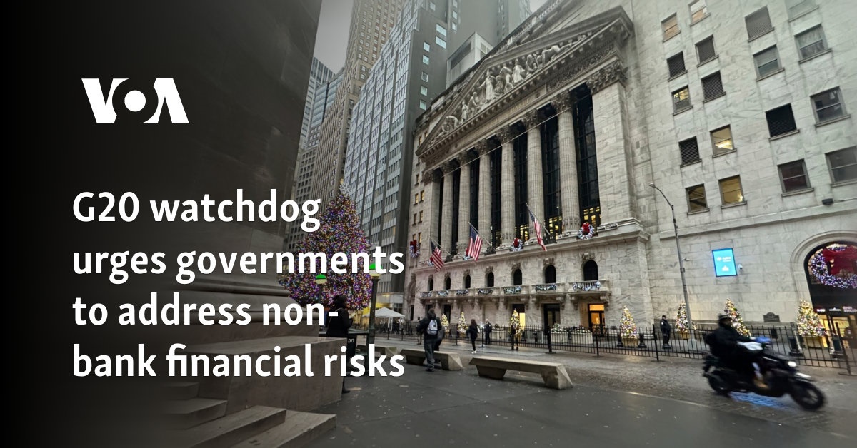 G20 watchdog urges governments to tackle non-bank financial risks