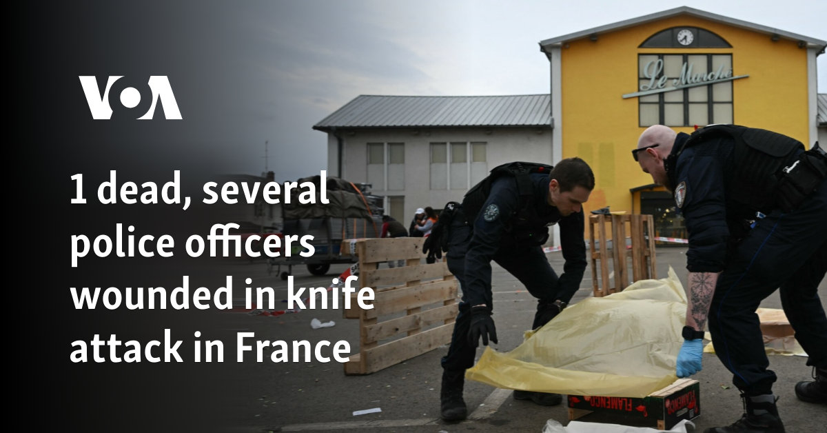 1 dead, many police officers were injured in a knife attack in France