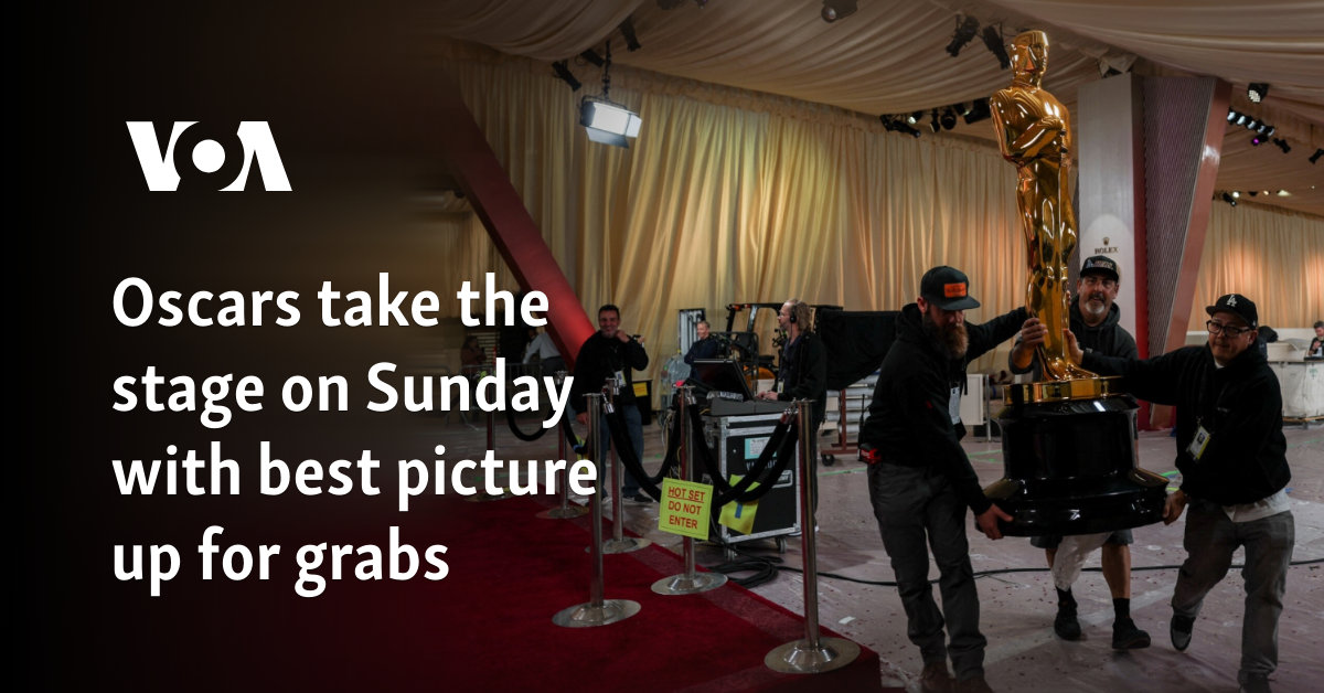 Oscars take stage with best pictures for tombs on Sunday