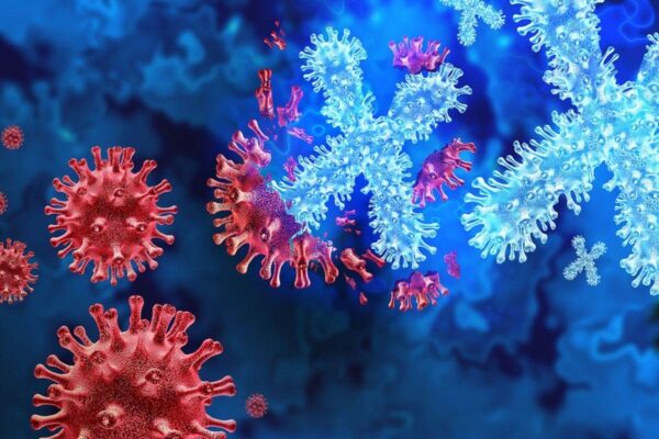 Next Pandemic: New epidemic is coming again! One -time away from spreading in humans … Health experts from all over the world warned – Next Pandemic Soon Health Expert Warn New Pandemic Bat Viruses in China Show Covid Like Threat