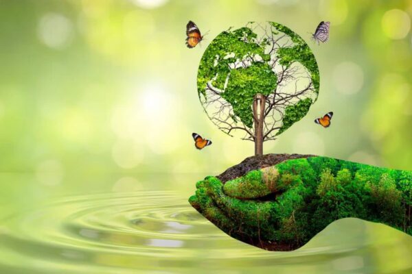 World Environment Day: What is World Environment Day and why is it celebrated? Also know about this year’s special theme – World Environment Day 2025 Theme Significance and Why It Matters More Than Ever