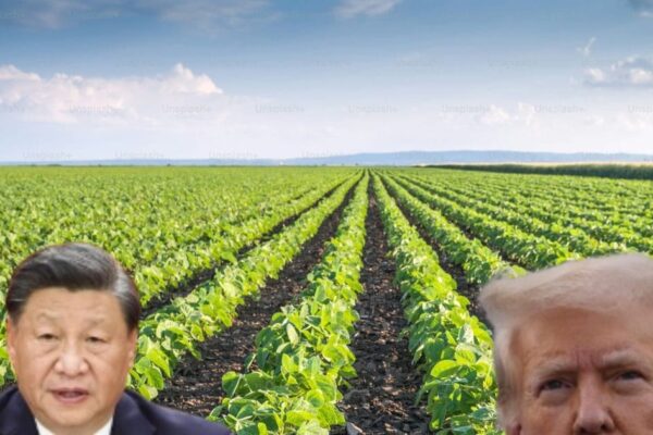 America China Relations: Biological weapon’s conspiracy revealed