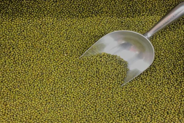 UP, good news for MP farmers, Central Government will buy MSP on MSP – Center Will Procure Moong and Urad from Madhya Pradesh and Urad from uttar pradesh at msp procurement of 2 5 Lakh Tonnes of Mango from Karnataka