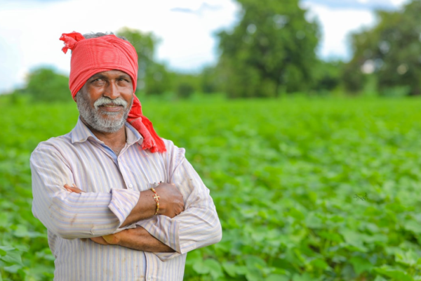PM Kisan 20th Installment: Will 2000 rupees come to your account or not? Learn in just 1 minute – PM Kisan Next Installment Release Date Status Check 2025