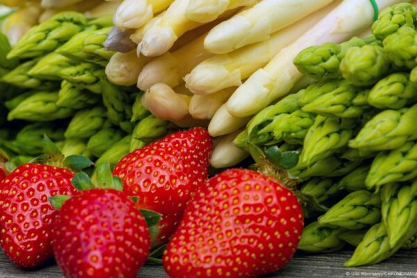 German farmers give an ax to asparagus and strawberries – DW – 07/18/2025