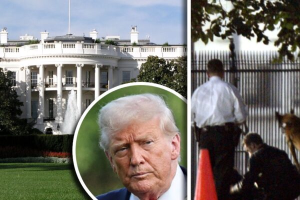 Stirred by throwing suspicious items in white house, security agencies alert